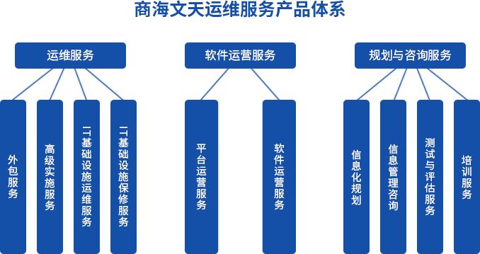  IT運維服務(wù)(圖1)