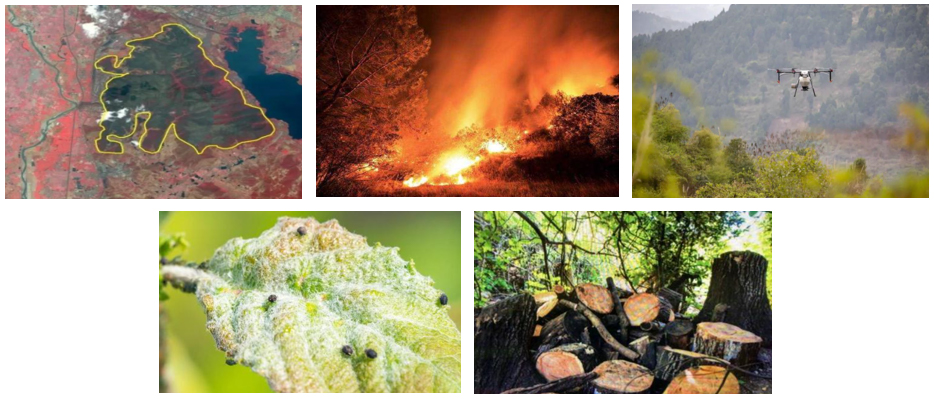 智慧森林一體化防控平臺(tái)(圖2)